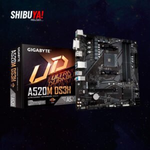 BOARD GIGABYTE A520 DS3H